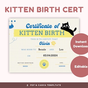 Sjabloon geboorteakte kitten, invulbare en bewerkbare pdf, afdrukbare record pasgeboren kitten, schattige geboorteakte voor katten kittens