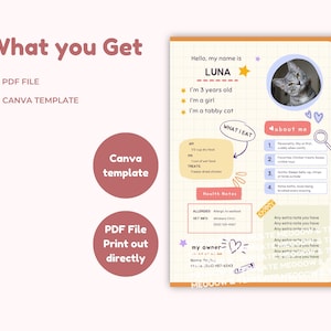 May include: A printable pet profile template with a cute cat illustration. The template includes sections for the pet's name, age, breed, personality, diet, health notes, and owner information. The template is designed in a colorful and playful style with hearts, stars, and paw prints.
