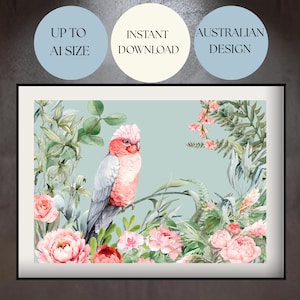 Galah-vogelprint: Australische inheemse bloemenkunst aan de muur (digitale download)