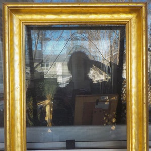 May include: A gold-colored picture frame with a screen door reflection in the glass. The frame has a decorative, ornate design.