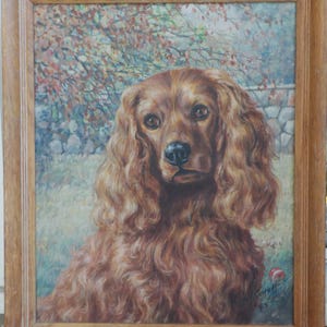 Vintage COCKER SPANIEL DOG , Original Realism Oil Portrait Painting, Framed c1945, 15 x 18 in.