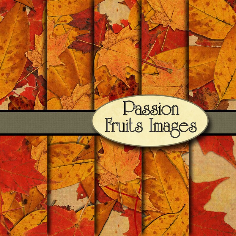 Fall Foliage- 10 Piece Autumn Digital Paper Pack--instant Download - Etsy