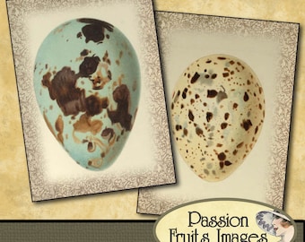 Speckled Bird Eggs Aceo Card Digital Collage Sheet