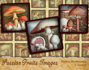 Vintage French Mushroom Images 1 inch Squares Digital Collage Sheet -- Instant Download