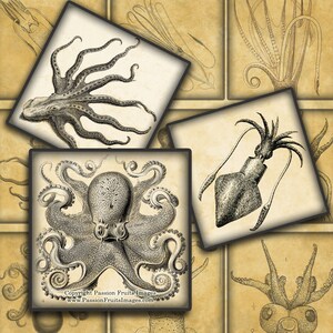 Antique Octopus and Squid digital collage sheet - 2&quot; Squares-- Instant Download