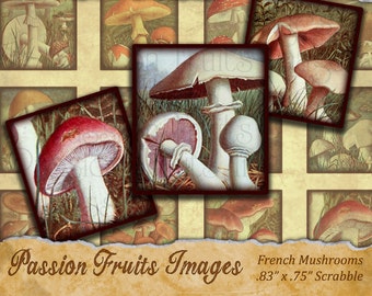 Vintage French Mushroom Images .75" x .83" Vintage Scrabble Tiles  Digital Collage Sheet-- Instant Download