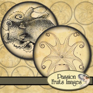 2&quot; Octopus and Squid Images Large Rounds Digital Collage Sheet-- Instant Download