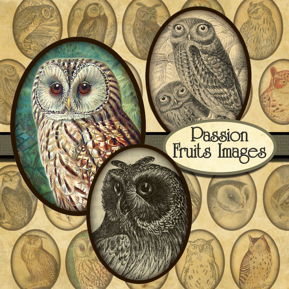 Victorian Owl Images Digital Collage Sheet- 30 x40 cabochons-- Instant Download