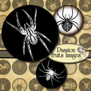 Dark Vintage Spider Images 1.25&quot; Rounds Digital Collage Sheet--Instant Download