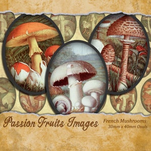 Vintage Franse Mushroom Images 30mm x 40mm Cameo Ovals Digitale Collage Sheet- Instant Download