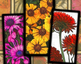 Bright Daisies 1x2 Domino Tiles Digital Collage Sheet-- Instant Download