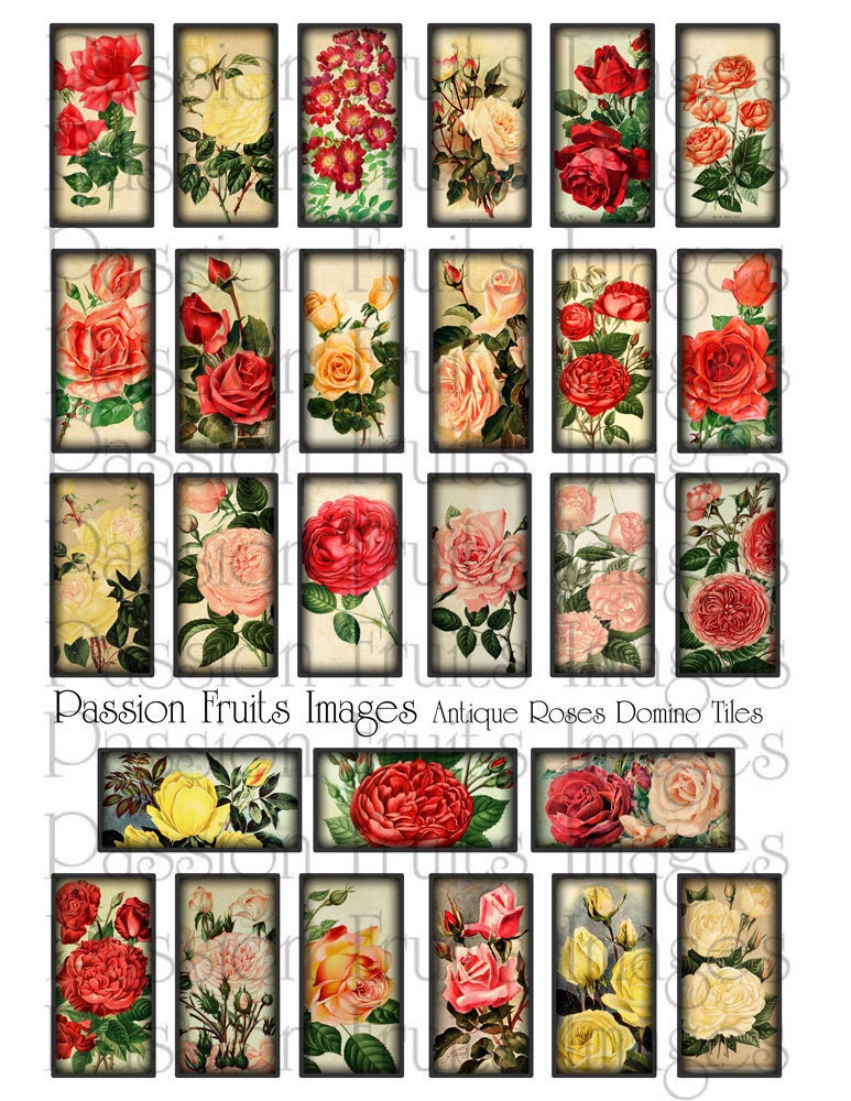 Antique Roses Digital Collage Sheet 1 X 2 Domino Tile Sized instant ...