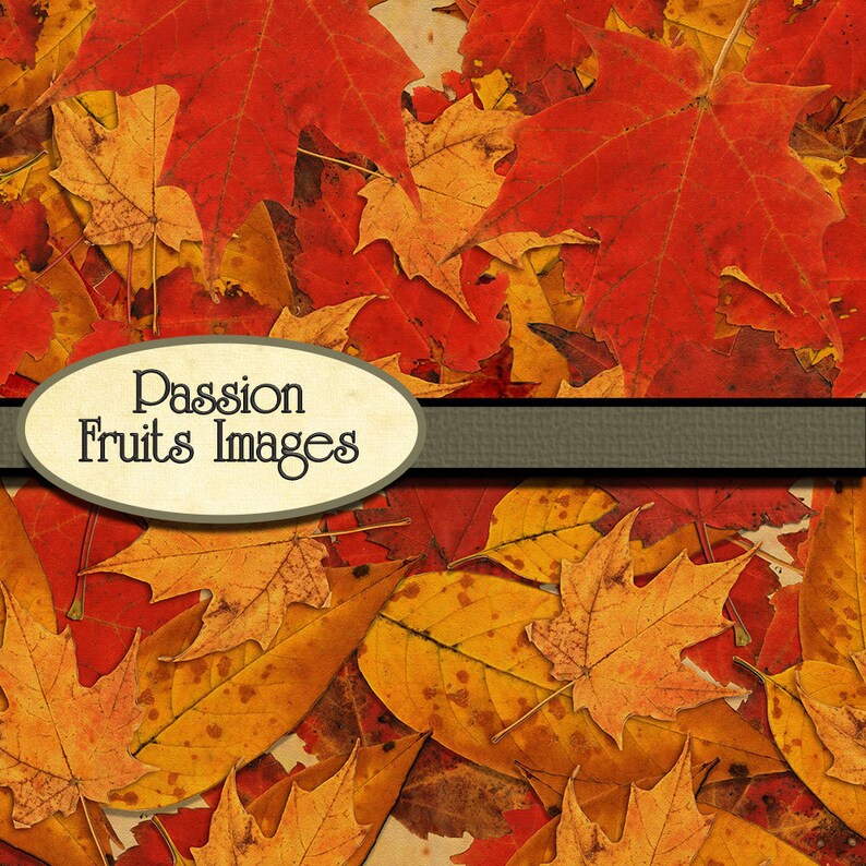 Fall Foliage- 10 Piece Autumn Digital Paper Pack--instant Download - Etsy