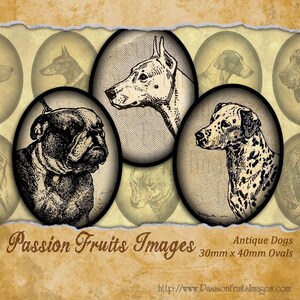 Antique Dogs  Large Breeds 30mm x 40 mm Ovals Digital Collage Sheet -- Instant Download