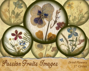 Pressed Flowers-- 1 inch bottlecap rounds Digital Collage Sheet-- Instant Download