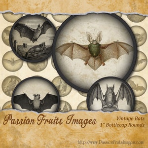 Antique Bat Images Halloween Digital Collage Sheet-  1"  Bottlecaps--Instant Download