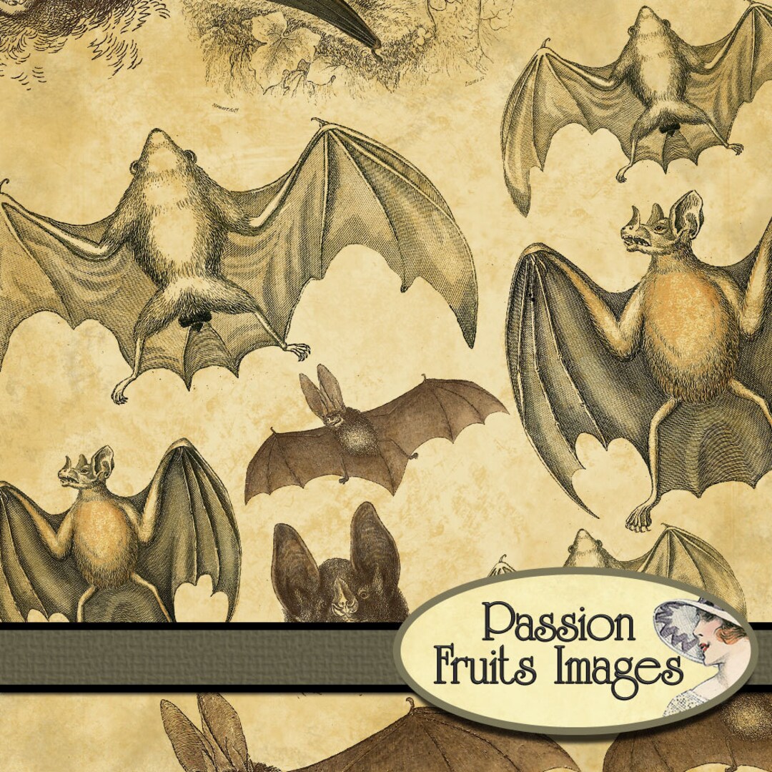 Vintage Bats Digital Collage Sheet PIF Freebie-- Instant Download - Etsy