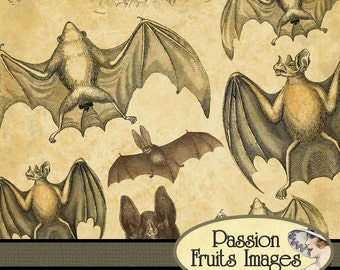 Vintage Bats Digital Collage Sheet PIF Freebie-- Instant Download