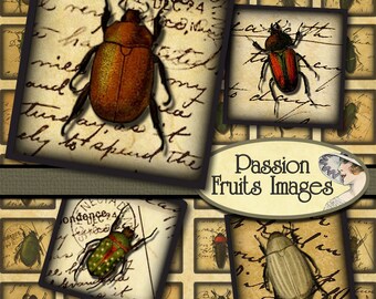 Victorian Insects on Antique Diary Pages Inchies -Digital Collage Sheet-- Instant Download