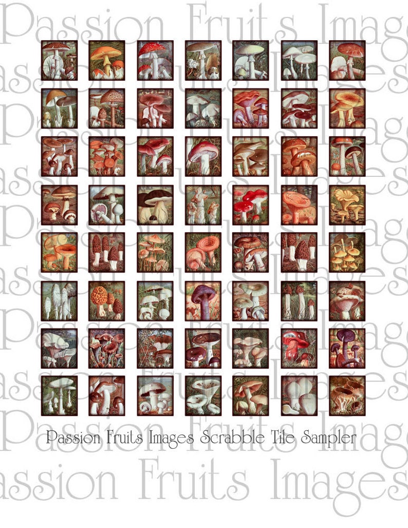 Vintage francuskie Zdjęcia grzybów. 75 x. 83 Vintage Scrabble płytek cyfrowy arkusz kolażuInstant Download zdjęcie 2