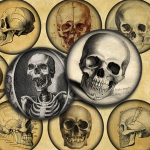 Vintage Skull Images 2&quot; Circles - Halloween Digital Collage Sheet-- Instant Download