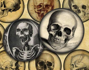 Vintage Skull Images 2" Circles - Halloween Digital Collage Sheet-- Instant Download