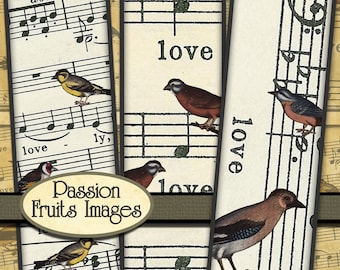 Antique Bird Images on Sheet Music Digital Collage Sheet- 1in x 3in Slides-- Instant Download