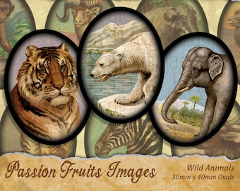 Wild Animals from Victorian Trade Card 30mm x 40 mm Ovals square Assortment Digital Colllage Sheet