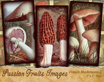Vintage French Mushroom Images 1 x 2 Domino Tiles Digital Collage Sheet no. 2--Instant Downlaod