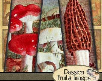 Vintage French Mushroom Images 1 x 3 Microscope Slides Digital Collage Sheet no.2-- INstant Download