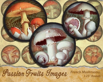 1.25 inch Circles  Vintage French Mushroom Images Digital Collage Sheet--Instant Download