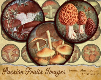 1.5 inch Circles  Vintage French Mushroom Images Digital Collage Sheet #2-- Instant Download