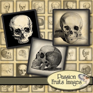 Vintage Skull Images Inchies 1&quot; Squares Digital Collage Sheet-- Instant Download