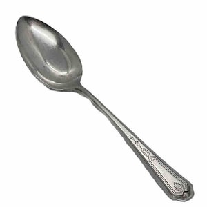 May include: A silver spoon with an oval bowl and a long, slender handle. The handle has decorative etched details, including a floral design at the end. The spoon is likely made of stainless steel or a similar metal.