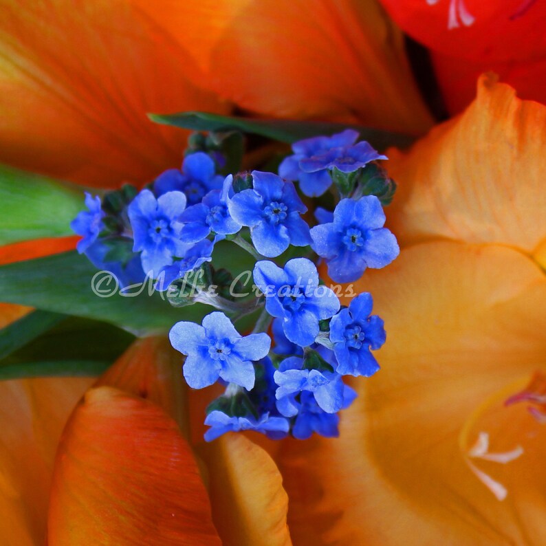 Me Not Necklace For Women Me Not Jewelry Gift Etsy