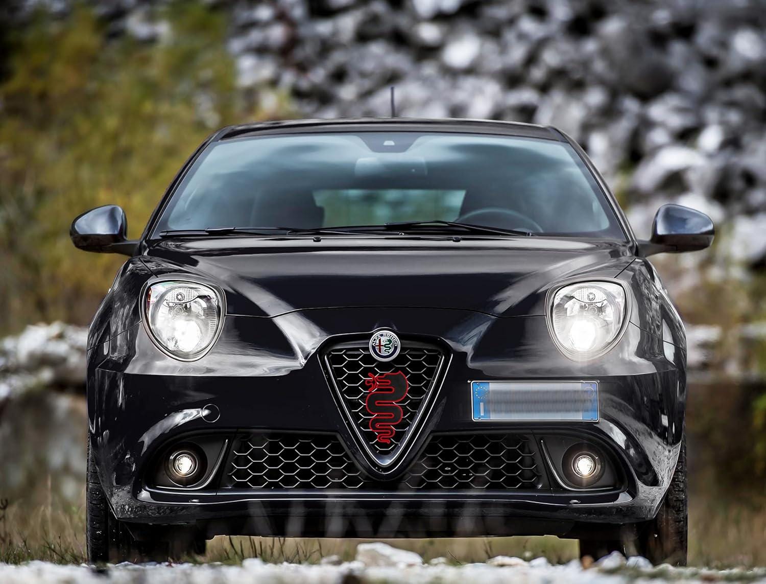 Alfa romeo biscione - Etsy 日本