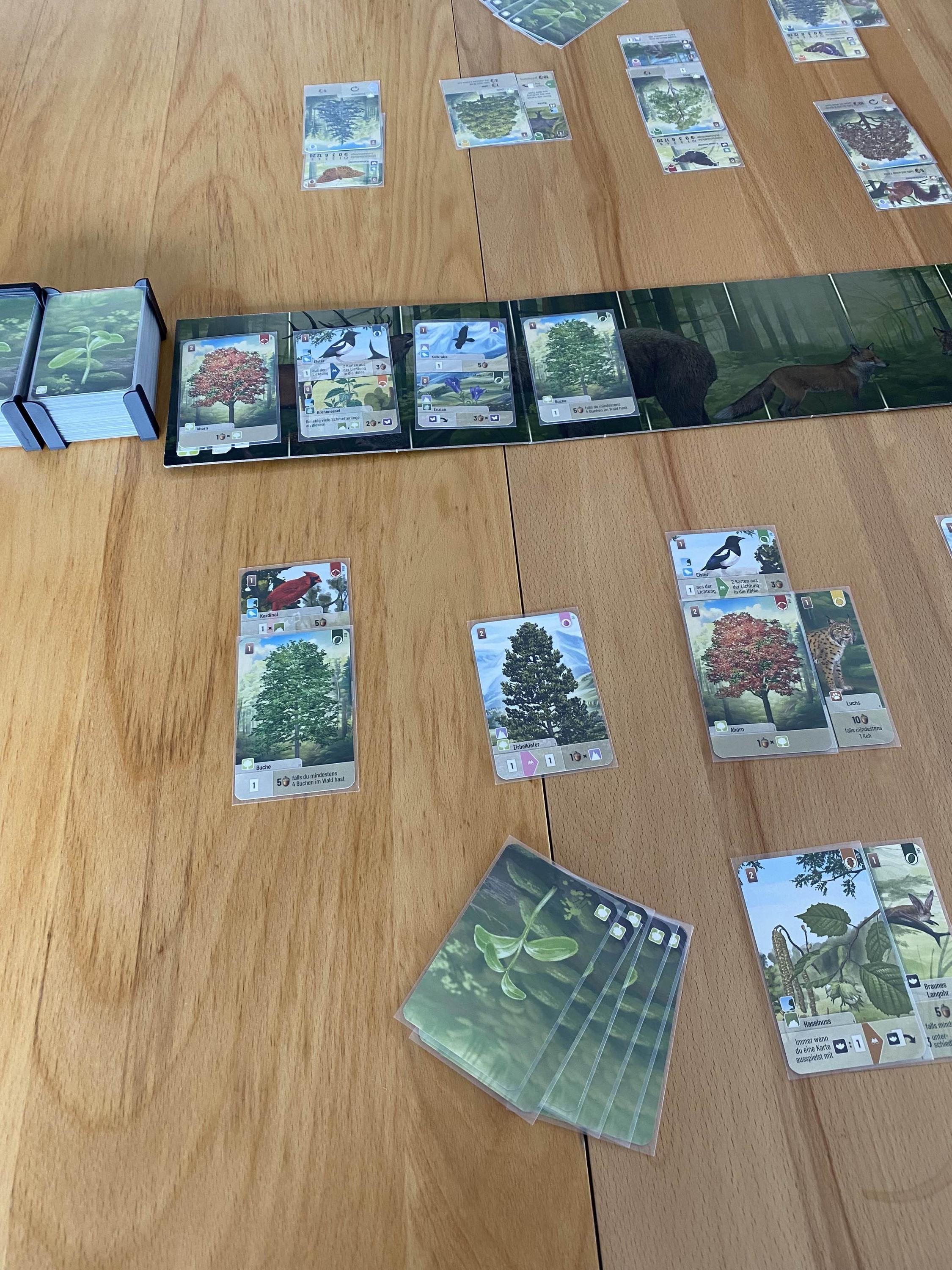 Mixed Forest Insert - Organizer for Forest Shuffle - Suitable for