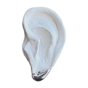 May include: A white sculpture of a human ear with a silver-colored accent at the bottom. The ear is textured and detailed, with visible ridges and curves. The silver accent adds a touch of contrast and shine to the otherwise matte white surface.