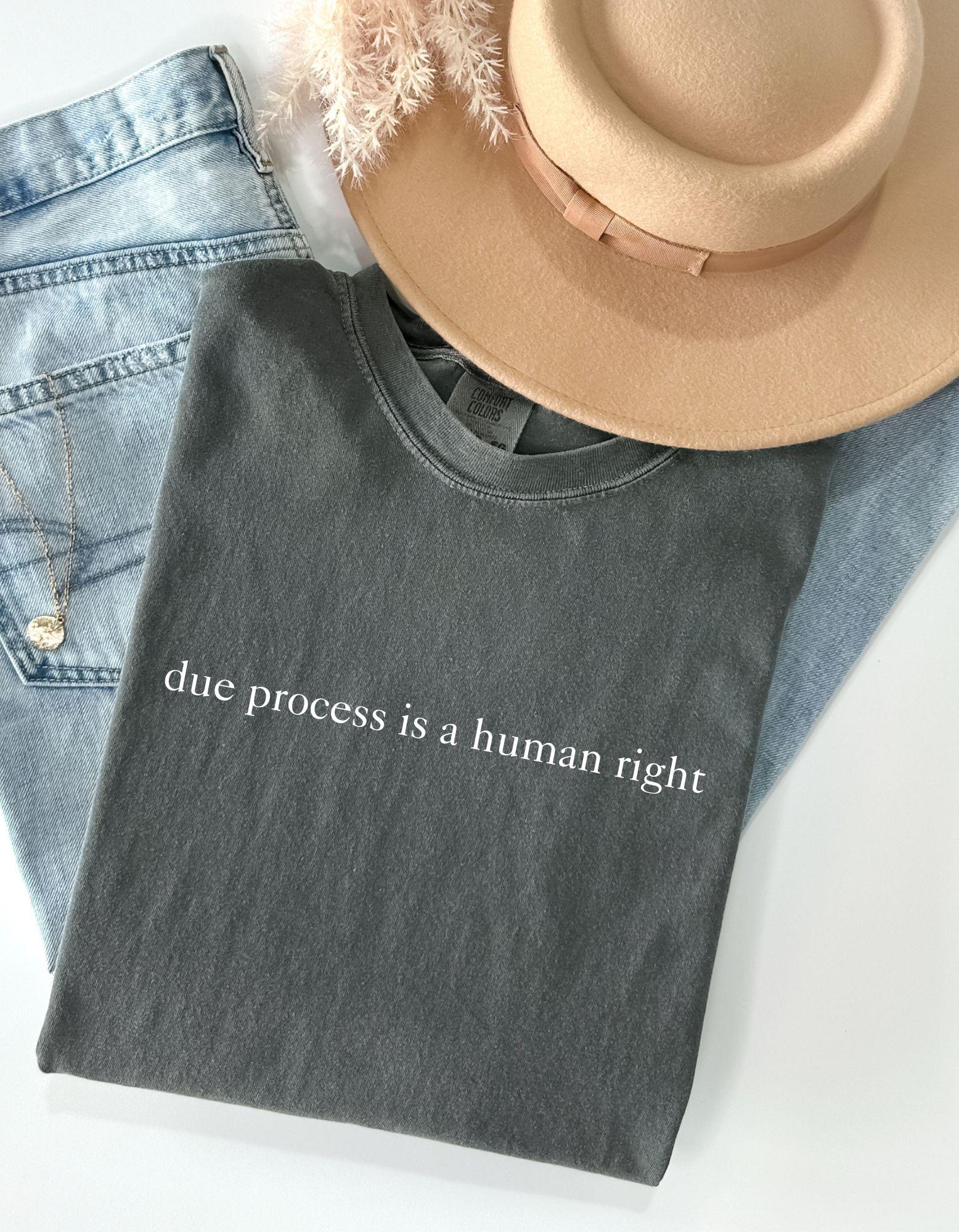 Empowering Unisex Garment-Dyed T-shirt - Due Process is a Human Right, Activism Tee, Social Justice Shirt, Casual Wear, Gift for Advocates