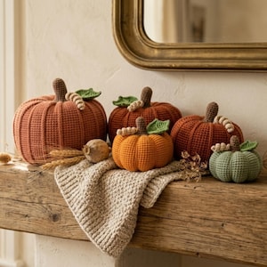May include: A collection of five crocheted pumpkins in varying sizes and colors, including shades of rust, orange, and sage green. Each pumpkin features a brown stem, a small green leaf, and a coiled vine detail, arranged on a textured surface.