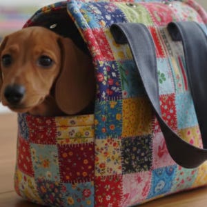 May include: A small, brown dachshund puppy peeks out of a colorful patchwork pet carrier. The carrier has a rectangular shape with a dark gray handle and is made of fabric squares in various floral patterns.