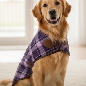 Könnte beinhalten: Ein Golden Retriever trägt einen Hundemantel mit lila und lavendelfarbenem Karomuster. Der Mantel verfügt über einen braunen Verschluss in Lederoptik mit einer Metallschnalle am Hals und dunkelbraune Einfassungen an den Rändern.