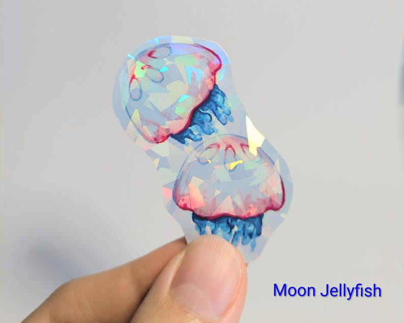 AUTOCOLLANTS HOLOGRAPHIQUES animaux de la mer - Décalcomanies vie marine pour ordinateurs portables, bouteilles d'eau et plus - Joli requin marin/baleine/raies/méduses Moon Jellyfish