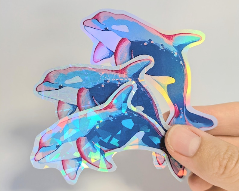 AUTOCOLLANTS HOLOGRAPHIQUES animaux de la mer - Décalcomanies vie marine pour ordinateurs portables, bouteilles d'eau et plus - Joli requin marin/baleine/raies/méduses Killer whale