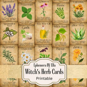 Cartas de Ervas Efêmeras de Bruxa, Páginas de Ervas de Grimório, Livro das Sombras para Imprimir, Magia de Bruxaria Verde, Ervas Efêmeras, Download Digital BOS