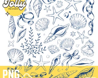 Muschel und Meereselemente PNG, handgezeichnete Meeresmuscheln und Seesterne, transparenter digitaler Download für Sublimation, T-Shirts und Kunsthandwerk