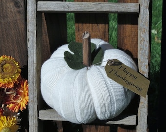 Happy Thanksgiving White Pumpkin Primitive Pumpkin Harvest Pumpkin Decoration