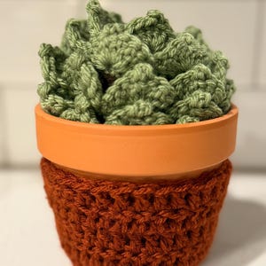 Crochet Succulent decor and coasters