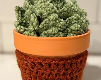 Crochet Succulent decor and coasters