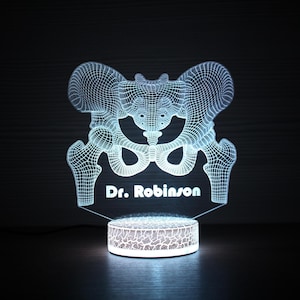 Könnte beinhalten: Eine leuchtende 3D-gedruckte anatomische Beckenlampe. Die Lampe zeigt ein detailliertes Drahtgitterdesign des Beckens, mit dem Text "Dr. Robinson" an der Basis. Die Lampe steht auf einem runden, strukturierten Sockel.